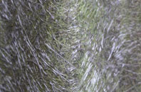 Gardie fibreglass roof work